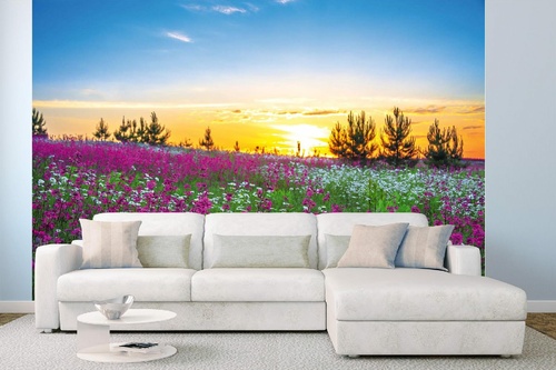 Vlies Fototapete - Sonnenaufgang und Blumen 375 x 250 cm